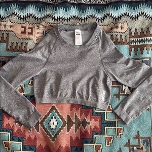 Gymshark Gray Fitted Cropped Long Sleeve Size XL